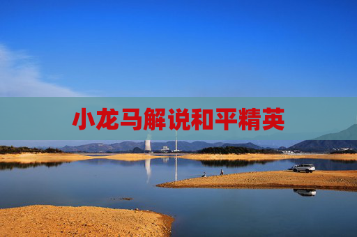 小龙马解说和平精英