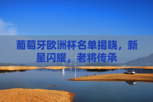 葡萄牙欧洲杯名单揭晓，新星闪耀，老将传承