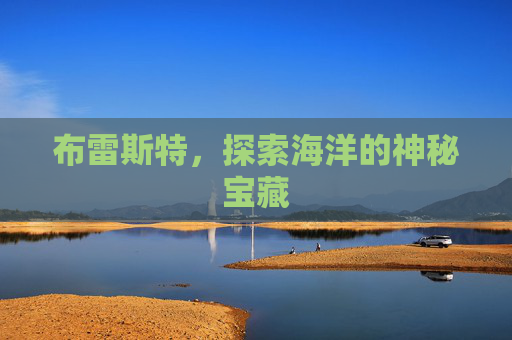 布雷斯特，探索海洋的神秘宝藏