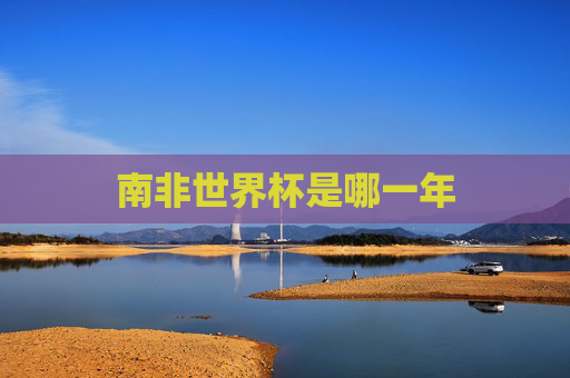 南非世界杯是哪一年