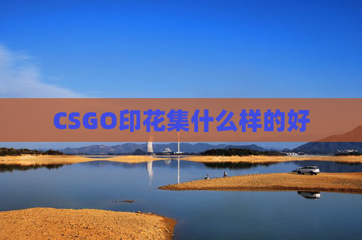 CSGO印花集什么样的好