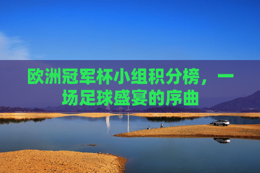 欧洲冠军杯小组积分榜，一场足球盛宴的序曲