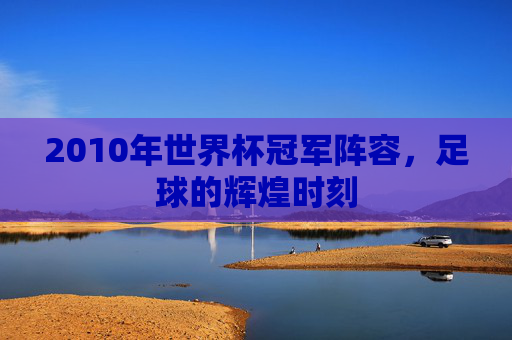 2010年世界杯冠军阵容，足球的辉煌时刻