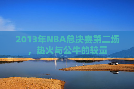 2013年NBA总决赛第二场,热火与公牛的较量 2013年NBA总决赛第二场,热火与公牛的较量