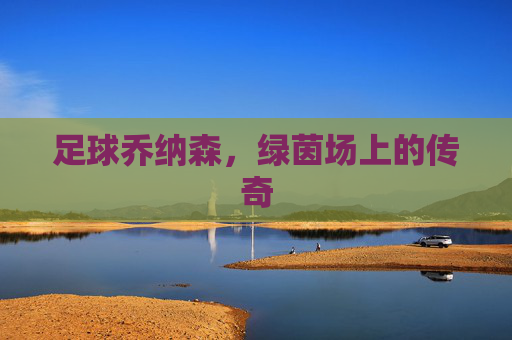 足球乔纳森，绿茵场上的传奇