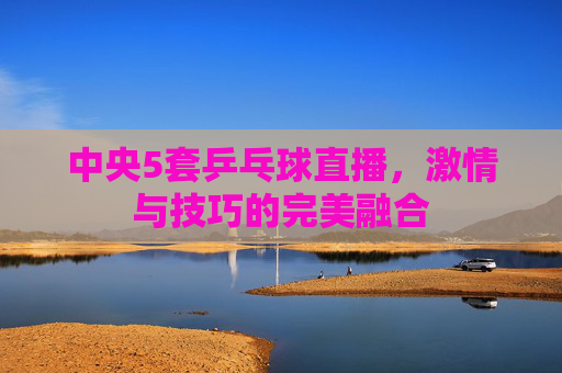 中央5套乒乓球直播，激情与技巧的完美融合
