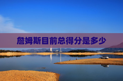 詹姆斯目前总得分是多少