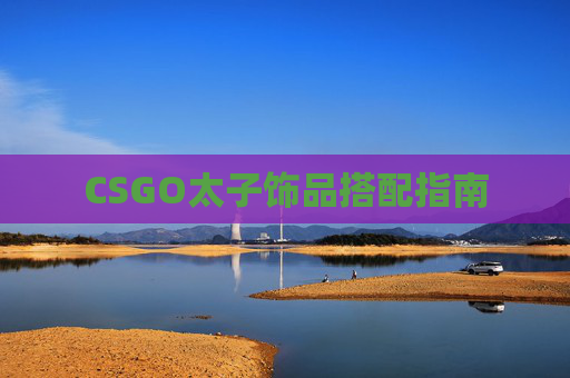 CSGO太子饰品搭配指南