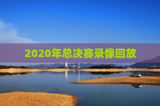 2020年总决赛录像回放