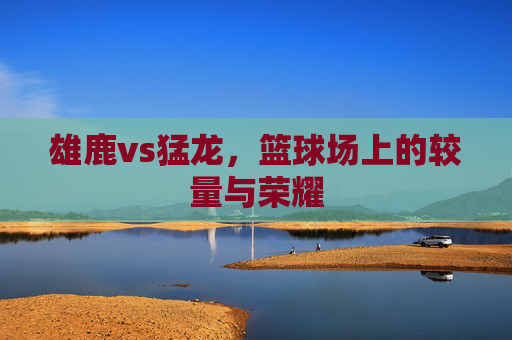 雄鹿vs猛龙，篮球场上的较量与荣耀