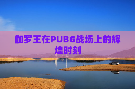 伽罗王在PUBG战场上的辉煌时刻