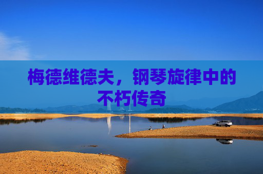梅德维德夫，钢琴旋律中的不朽传奇