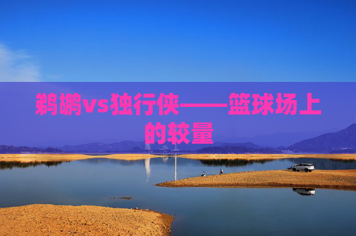鹈鹕vs独行侠——篮球场上的较量 鹈鹕vs独行侠——篮球场上的较量