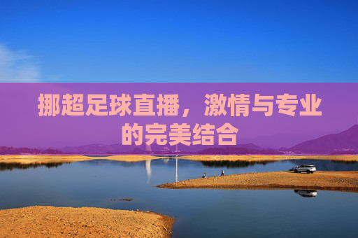 挪超足球直播，激情与专业的完美结合