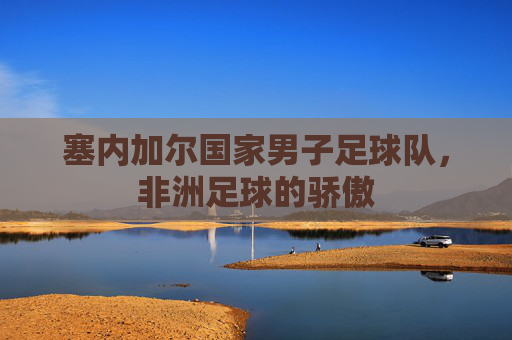 塞内加尔国家男子足球队，非洲足球的骄傲