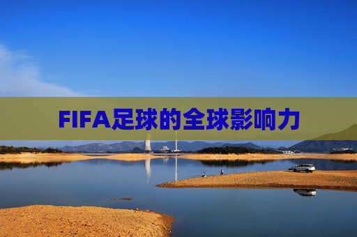 FIFA足球的全球影响力