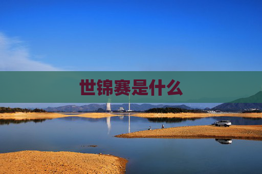 世锦赛是什么