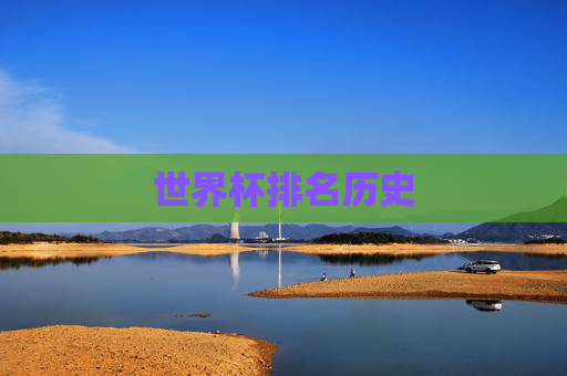 世界杯排名历史