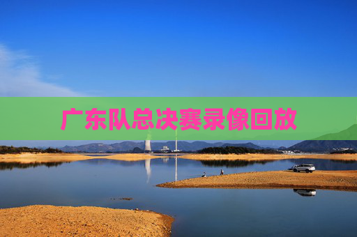 广东队总决赛录像回放
