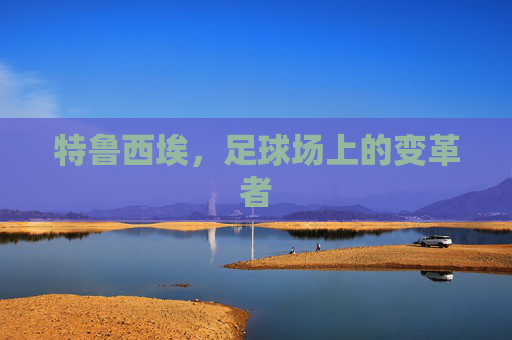 特鲁西埃，足球场上的变革者