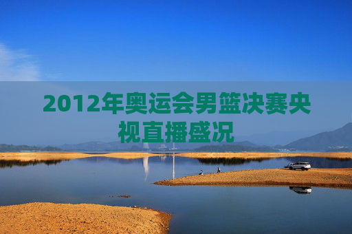 2012年奥运会男篮决赛央视直播盛况