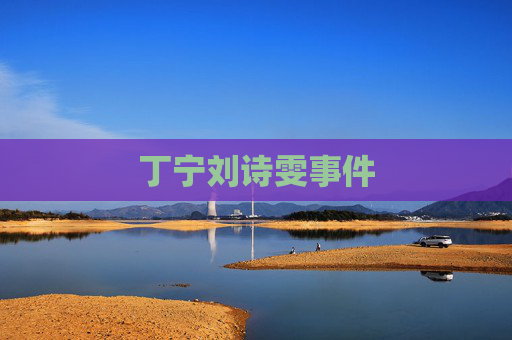 丁宁刘诗雯事件