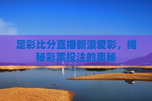 足彩比分直播新浪爱彩，揭秘彩票投注的奥秘