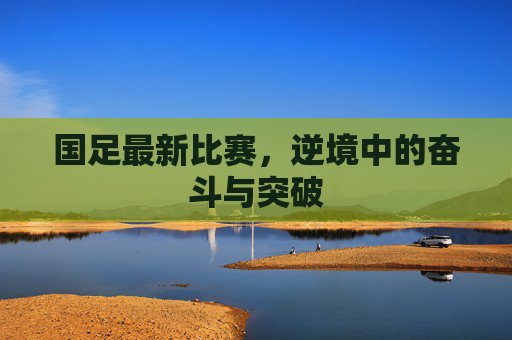 国足最新比赛，逆境中的奋斗与突破