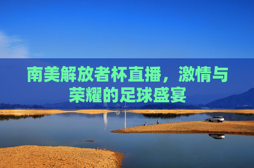 南美解放者杯直播，激情与荣耀的足球盛宴