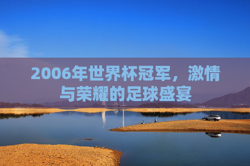 2006年世界杯冠军，激情与荣耀的足球盛宴