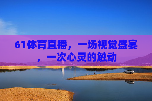 61体育直播，一场视觉盛宴，一次心灵的触动