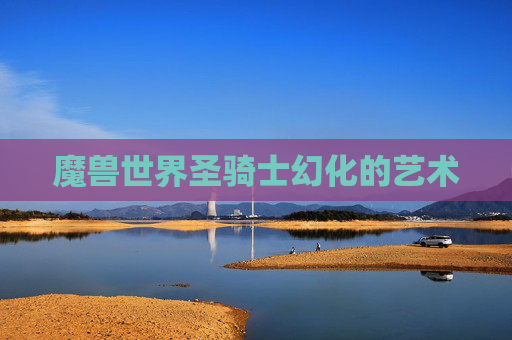 魔兽世界圣骑士幻化的艺术