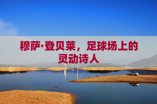 穆萨·登贝莱,足球场上的灵动诗人 穆萨·登贝莱,足球场上的灵动诗人