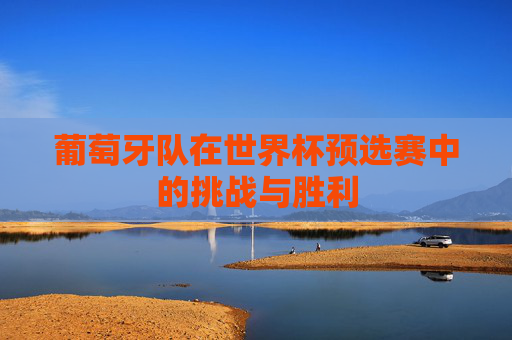 葡萄牙队在世界杯预选赛中的挑战与胜利