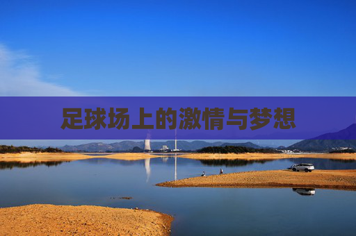 足球场上的激情与梦想