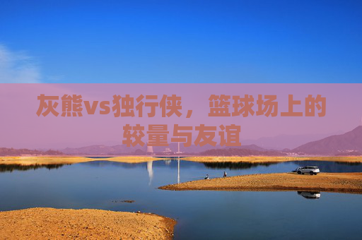 灰熊vs独行侠，篮球场上的较量与友谊