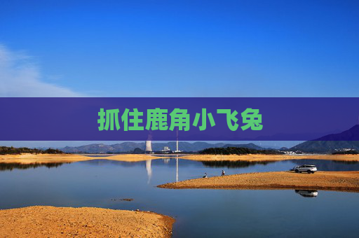 抓住鹿角小飞兔