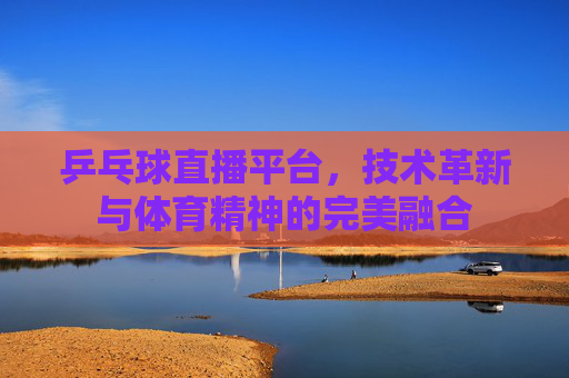 乒乓球直播平台，技术革新与体育精神的完美融合