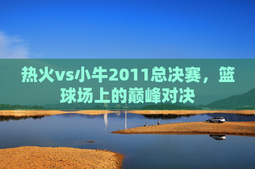 热火vs小牛2011总决赛，篮球场上的巅峰对决