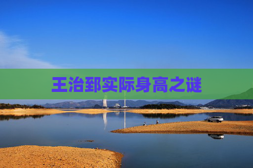 王治郅实际身高之谜 王治郅实际身高之谜