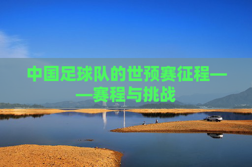 中国足球队的世预赛征程——赛程与挑战