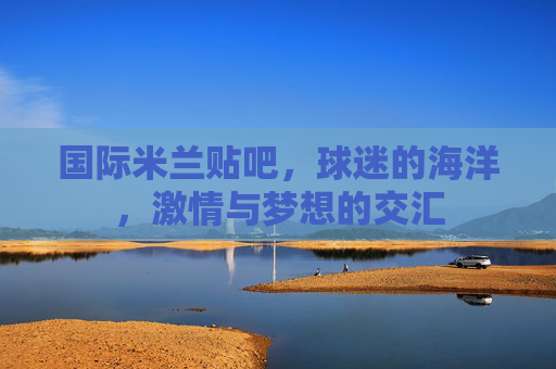 国际米兰贴吧，球迷的海洋，激情与梦想的交汇