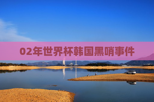 02年世界杯韩国黑哨事件