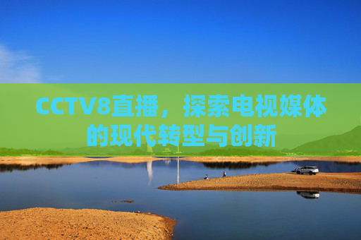 CCTV8直播，探索电视媒体的现代转型与创新