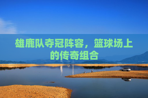 雄鹿队夺冠阵容，篮球场上的传奇组合