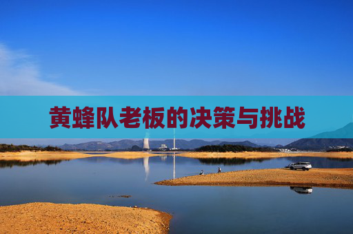 黄蜂队老板的决策与挑战 黄蜂队老板的决策与挑战