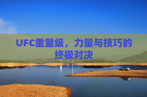 UFC重量级，力量与技巧的终极对决