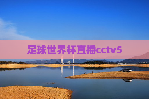 足球世界杯直播cctv5
