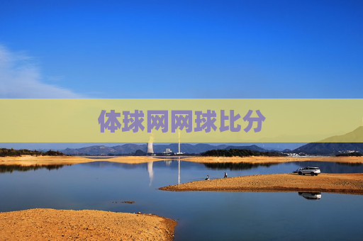体球网网球比分
