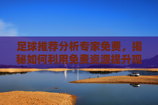 足球推荐分析专家免费，揭秘如何利用免费资源提升观赛体验